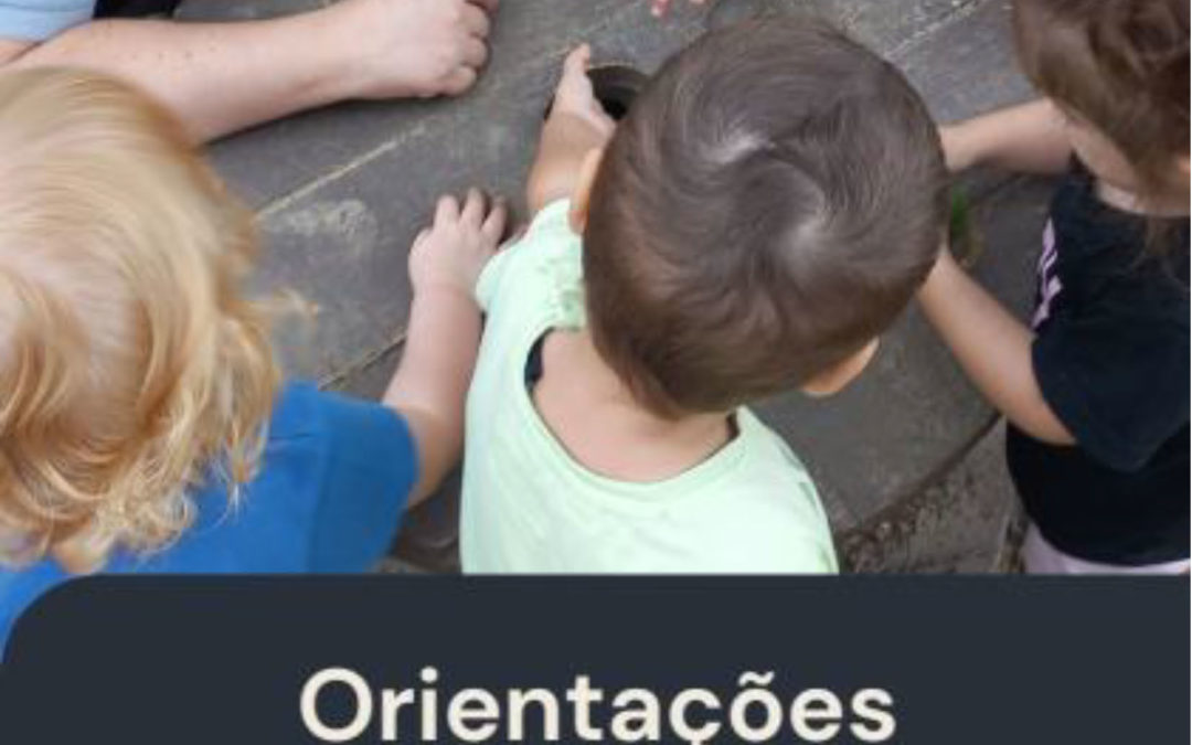 Orientações Pedagógicas para a Creche (2024)