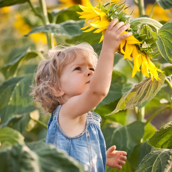 Crianças, Natureza e Educação para a Sustentabilidade, Leonor Toledo