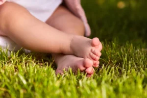 PRESENCIAL: PR12 - Mindfulness e Conexão com a natureza em contexto de creche