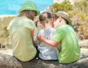 ONLINE: ON216 - Contextos de Supervisão Pedagógica e Partilha de Práticas em Educação de Infância