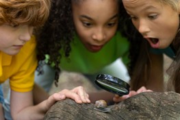 ONLINE: ON217 - Ensino Outdoor e Didática das Ciências ao Ar Livre