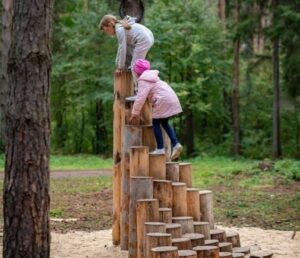 ONLINE: ON158 - Pensar o recreio – valorizar o risco e enriquecer os espaços exteriores