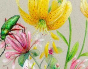 ONLINE: ON205 - Quem Vive na Floresta? Explorar contos e técnicas de ilustração em ambiente educativo