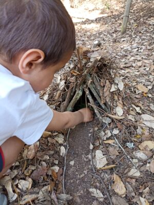 PRESENCIAL: PR232 - Galhos Criativos: Atelier de Ferramentas Manuais ao Ar Livre